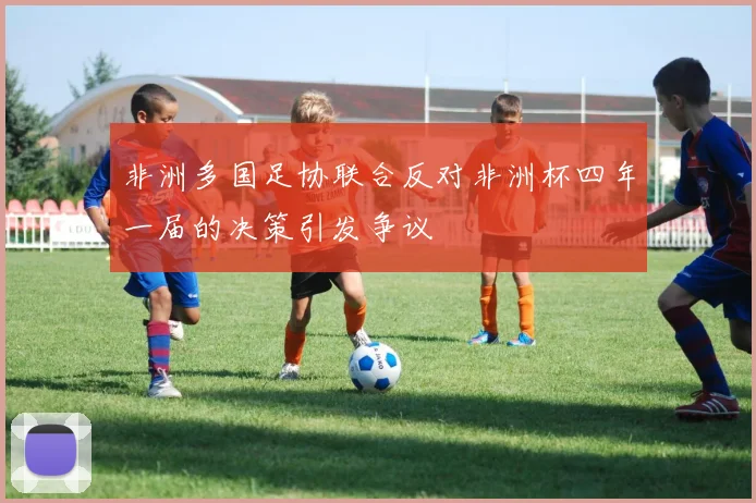 非洲多国足协联合反对非洲杯四年一届的决策引发争议