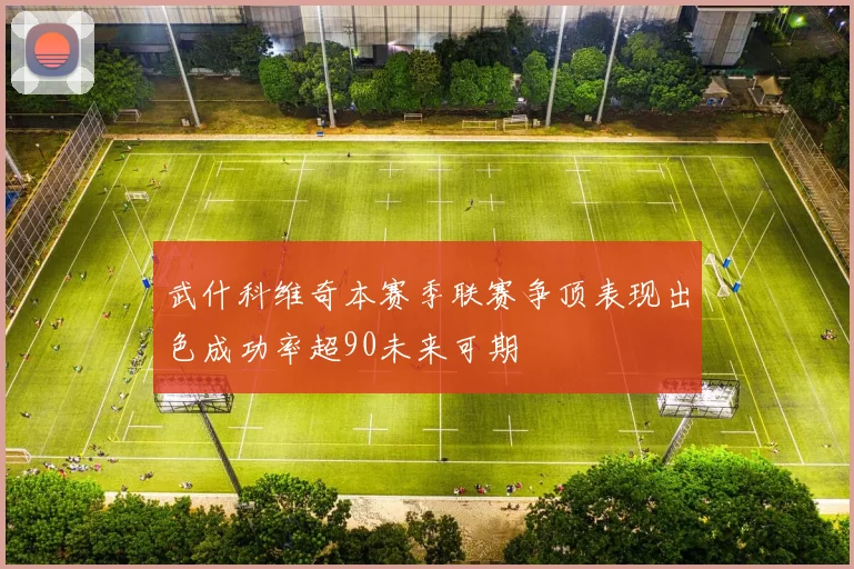武什科维奇本赛季联赛争顶表现出色成功率超90未来可期