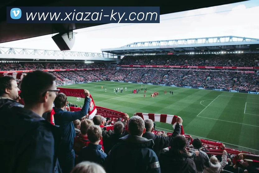 开云体育APP 封面图